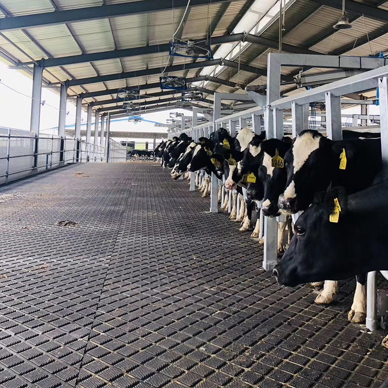 Cow Mat